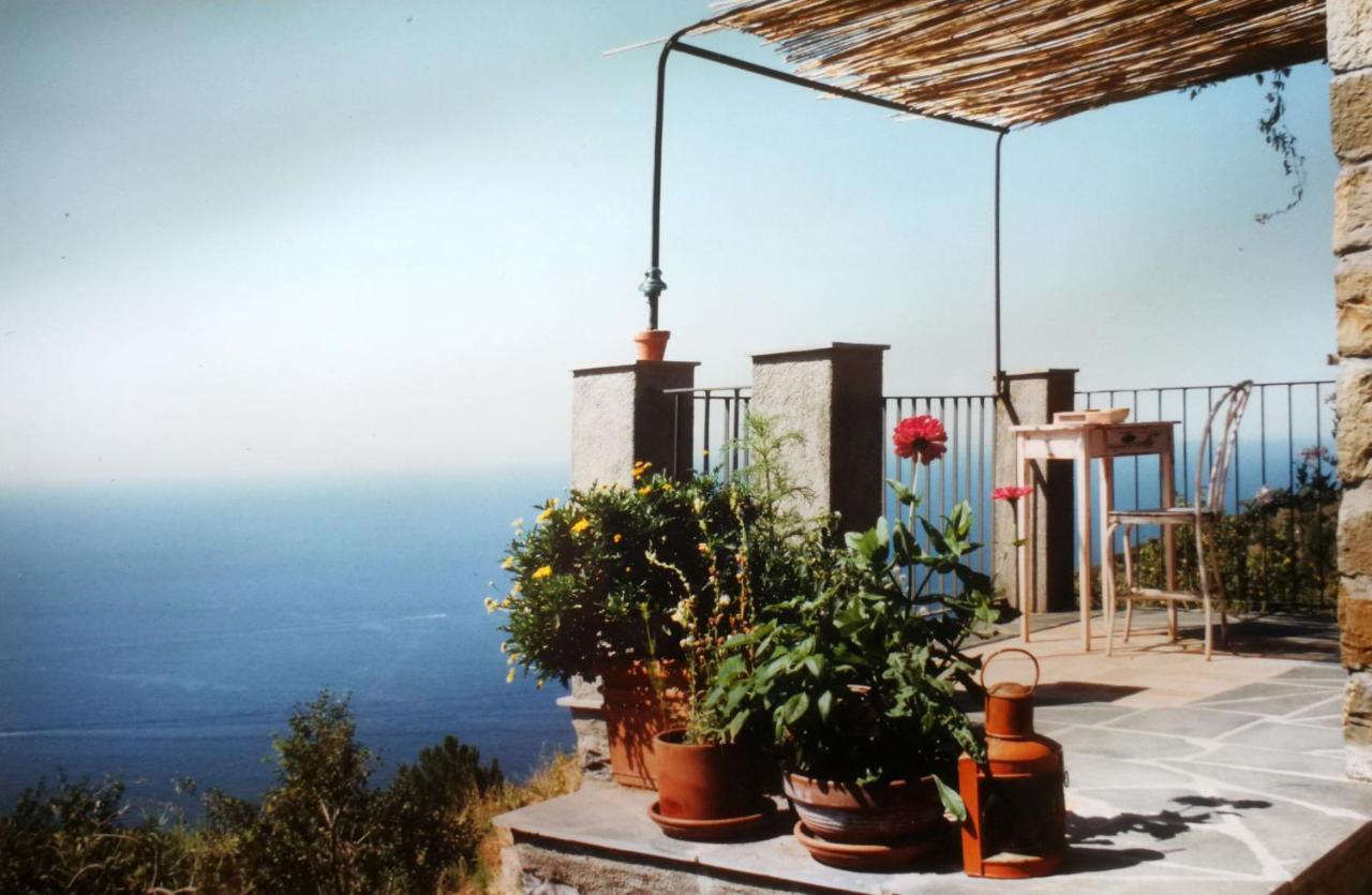 Cottage La Casa Del Pittore Reggimonti Экстерьер фото