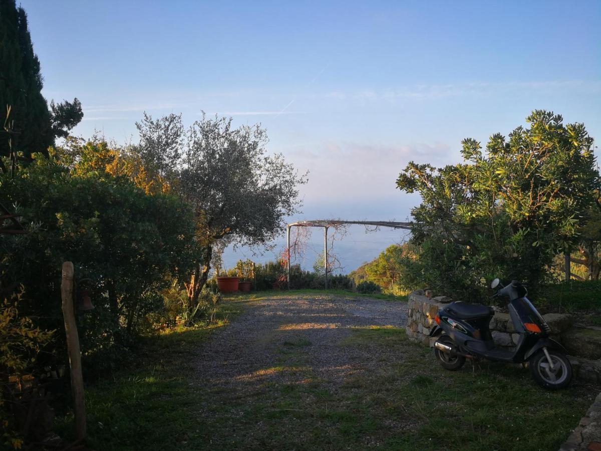 Cottage La Casa Del Pittore Reggimonti Экстерьер фото