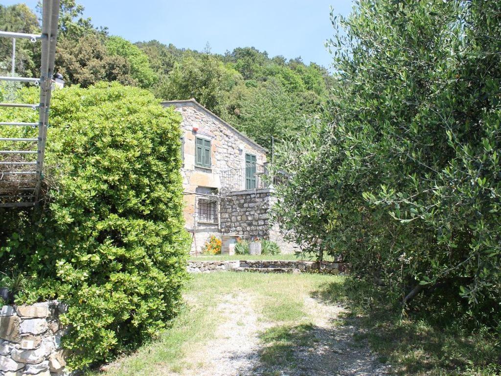 Cottage La Casa Del Pittore Reggimonti Экстерьер фото